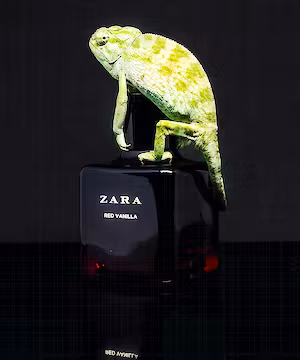 Riad Mohmmed, capturing life's special moments with product photography!