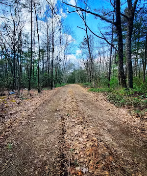 Amanda Colodonato: Crafting a Simple Life of Good Food & Good Vibes.