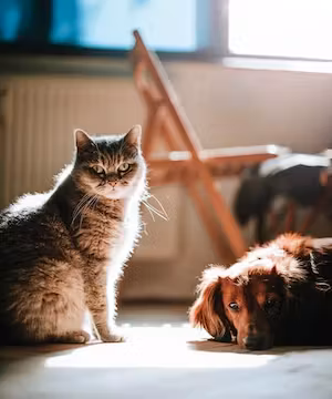 Heather: A Mom of Many, Sharing Love & Inspiration!