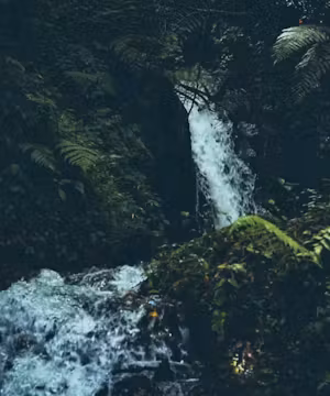 Josueortega: Caribbean Zest in Every Adventure!