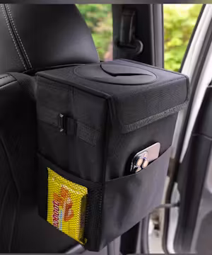 Unleashing Uniqueness: Meet TikTok's Mike Milazzo