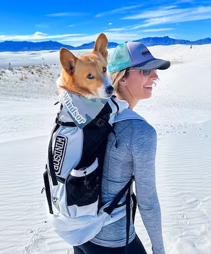 Trendy Instagram Reel from @ThoseTempletonCorgis