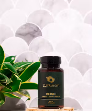 Expert Product Photography and Videography