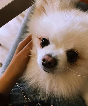 Unique Instagram Reel from @kettumax