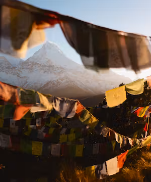 Embracing Growth and Balance: Eric Matt's Journey