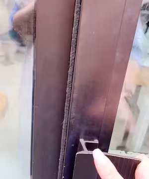 Hailey Swindall: A Creative Force from Seattle