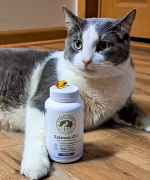 Unveiling Magic Behind Products: Meet Saving Maisy
