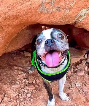 Capturing Beauty in the Mundane: Halie Anna's Product Photography