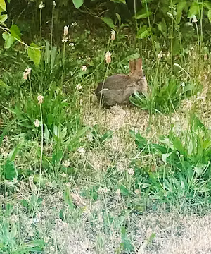 Makeup and Beauty Influencer @Elishevaherclay86