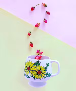 Amber Renee Fawn: Shining a Light of Inspiration