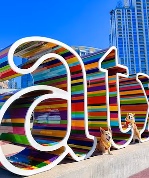 Trendy Instagram Reel from @ThoseTempletonCorgis
