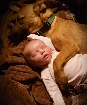 Sponsored Blog Post on Being Mom, Infertility, Adoption, Fitness.