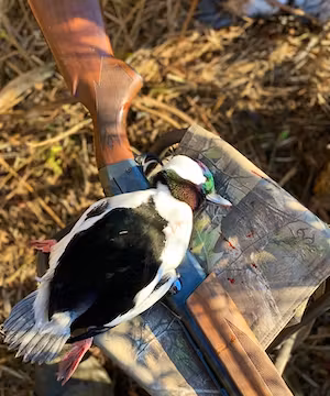 Outdoors page by @frigidcoast