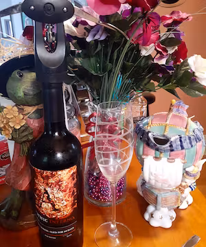 Creative TikTok by @letswine22