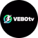 ncvebotvvin