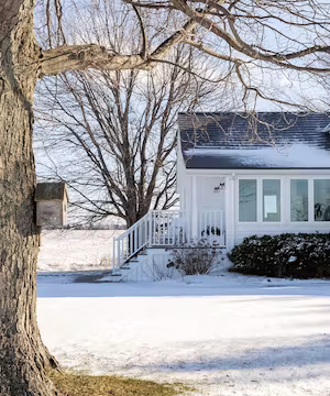 Welcome to Courtenay Hartford's world of timeless beauty and delight!