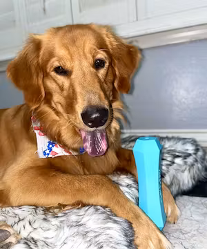 Creative TikTok from @mavandmel