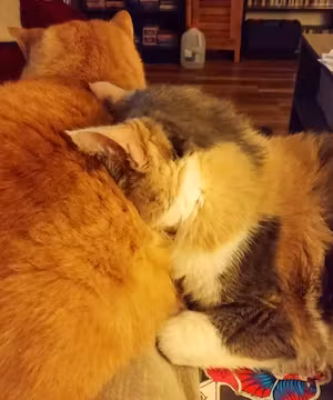 Sponsored Instagram post by @Ezeebuxs