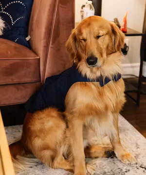 Creative TikTok from @mavandmel