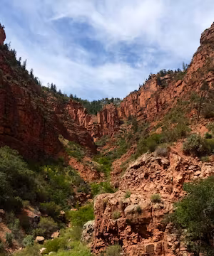 Mom Blog Post on SheaHulse13!