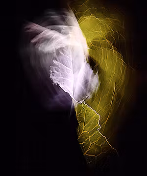 Unique ICM  images and ICM NFTs @ddayicm