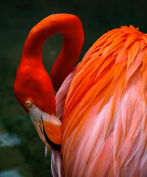 Capturing Beauty in the Mundane: Halie Anna's Product Photography