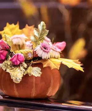 Haley: Home Decor Guru, Recipe Maven & Holiday Enthusiast