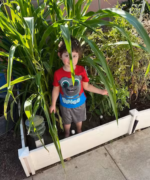 High quality product video by @Mrs.tons