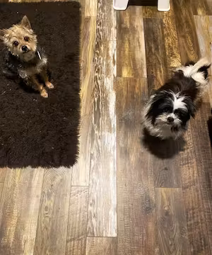 Heather: A Mom of Many, Sharing Love & Inspiration!