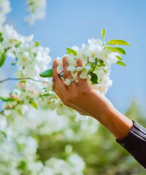 Dazzling Dymin Collins: Glamour Guru and Review Queen