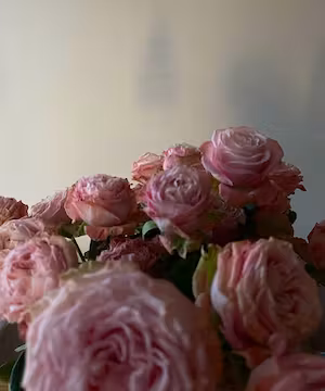 Unique Instagram post from @an.na.baum