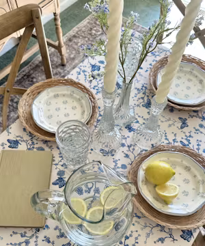 Skyler Mann: Budget Friendly Dream Home Guru