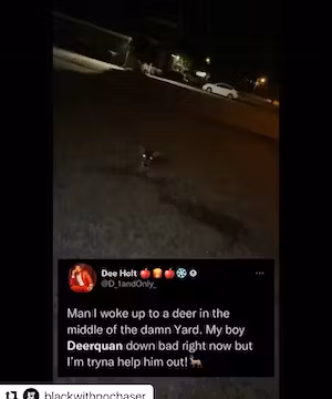 Custom Instagram post by @dee_holt