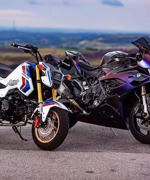 Be quick! New to the game @carbon.rider is growing rapid!