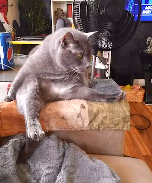 Sponsored Instagram post by @Ezeebuxs