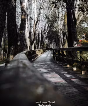 Custom Instagram post by @photographyionut