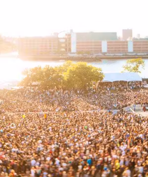 Elevate Your Brand with stupidDOPE: Global Content Creation for Maximum Exposure & SEO