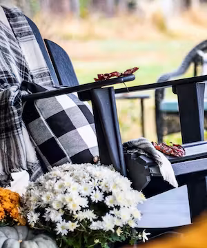 Haley: Home Decor Diva and Holiday Enthusiast