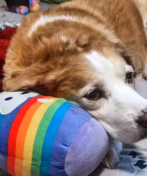 Sponsored Instagram Reel from @Oldladyandthekid
