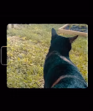 Creating the best content with Virgo Energy with @Cezanne_renee