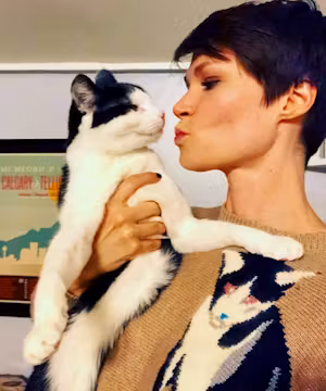 For Cat lovers All Over The World!