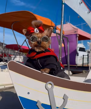Lisa & Emily: Paws & Passports Adventure