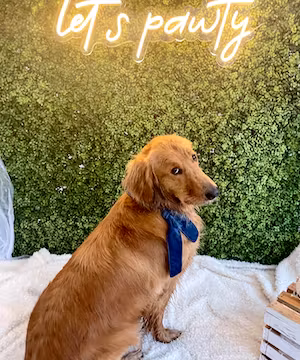 Creative TikTok from @mavandmel