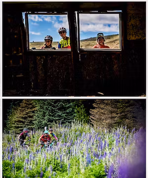 Photos of outdoors in nature