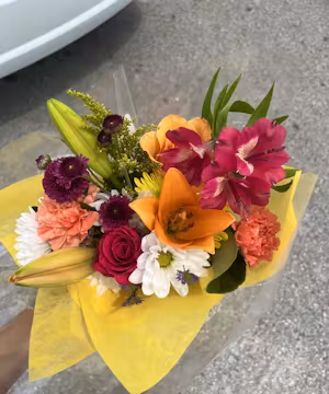 Brooklynn Frago: Lighting Up Instagram with Authenticity and Style!