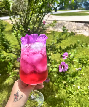 Capturing Beauty in the Mundane: Halie Anna's Product Photography