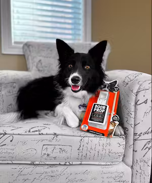 Kelsey Soule: Unleashing Canine Potential & Nurturing Minds