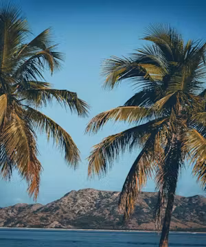 Josueortega: Caribbean Zest in Every Adventure!