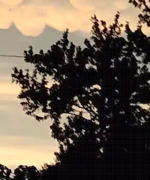 Sponsored Instagram post by @Ezeebuxs