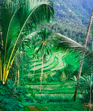 Unique Instagram story, post or reel by @Kayphilnomads